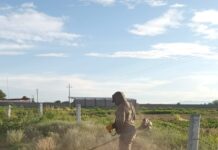 Realizan jornada integral de limpieza y reforestación en Nuevo San Lucas