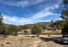 Mantendrá ola de calor altas temperaturas en gran parte de Chihuahua