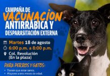 Llevarán este martes campaña de vacunación y desparasitación a la colonia Revolución