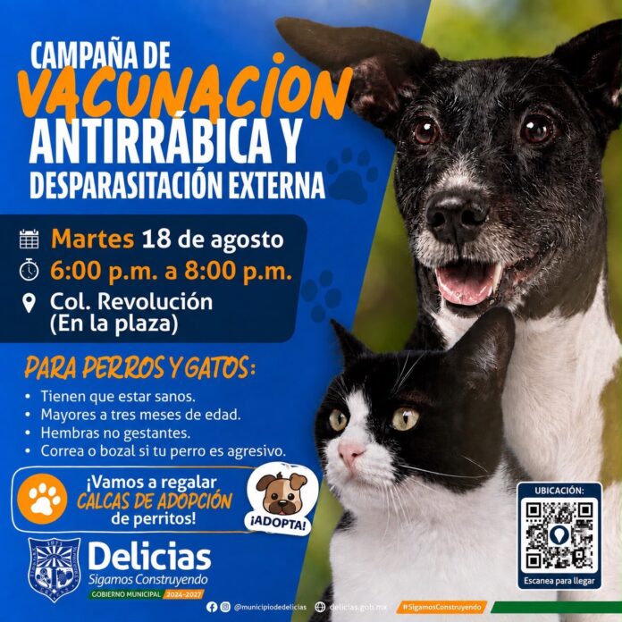 8afab429-1471-4b56-932c-e9df38dbe76c