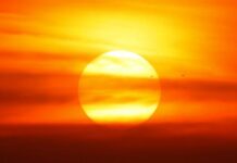 Suman 10 muertos por temperaturas extremas en Sonora; 8 fueron en Hermosillo