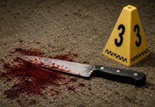 Detienen a joven por apuñalar y matar a su novio tras discusión en Saltillo