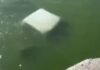 Murieron 4 elementos de la SEMAR tras caer a río en Tamaulipas