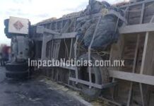 Vuelca tráiler con pacas de alfalfa en carretera Camargo-Ojinaga
