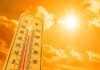 Calorón toda la semana: Máximas de hasta 37° C en Delicias