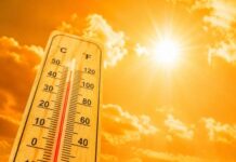 Calorón toda la semana: Máximas de hasta 37° C en Delicias