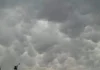 Falta de lluvias pondría en riesgo próximo ciclo agrícola en Chihuahua
