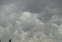 Falta de lluvias pondría en riesgo próximo ciclo agrícola en Chihuahua