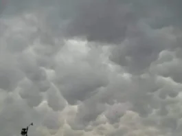 Falta de lluvias pondría en riesgo próximo ciclo agrícola en Chihuahua
