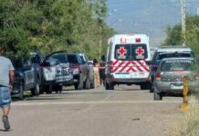 Muere menor de 12 años tras accidente con caballo en Chihuahua