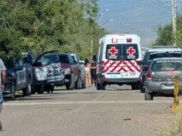 Muere menor de 12 años tras accidente con caballo en Chihuahua