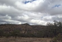 Anticiclón disminuirá lluvias y aumentará calor en Chihuahua