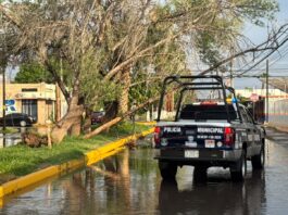 Atienden Gobierno Municipal reportes ciudadanos tras intensa lluvia en Delicias