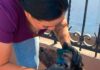 Continúa Gobierno de Meoqui atendiendo reportes de perros con heridas y visita a establos para prevenir el gusano barrenador
