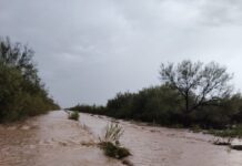 Mantiene Protección Civil alerta amarilla ante efectos de la depresión tropical Polo
