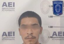 Vinculan a proceso a hombre por muerte de perro chow-chow en Juárez