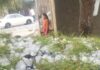 Reporta Protección Civil tormentas con granizo en el noroeste de Chihuahua
