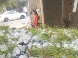 Reporta Protección Civil tormentas con granizo en el noroeste de Chihuahua