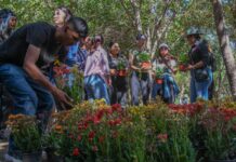 Siembra Instituto de las Mujeres un Jardín de Esperanza para prevenir el suicidio en Delicias
