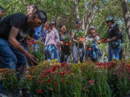 Siembra Instituto de las Mujeres un Jardín de Esperanza para prevenir el suicidio en Delicias