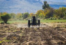 Meoqui cuenta con 36 mil 996 hectáreas sembradas que ponen en alto su vocación agrícola