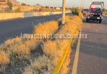 Choca contra luminaria y abandona camioneta en el Libramiento de Camargo