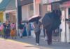 Reporta Salud 3 muertes por golpe de calor en Chihuahua