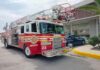 Rescatan a gato atrapado en palmera de Plaza Oriente en Delicias