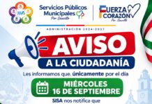 Suspenderá Saucillo recolección de basura este 16 de septiembre