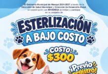 Llevarán en Meoqui esterilizaciones de mascotas a bajo costo este 5 de octubre en San Lucas