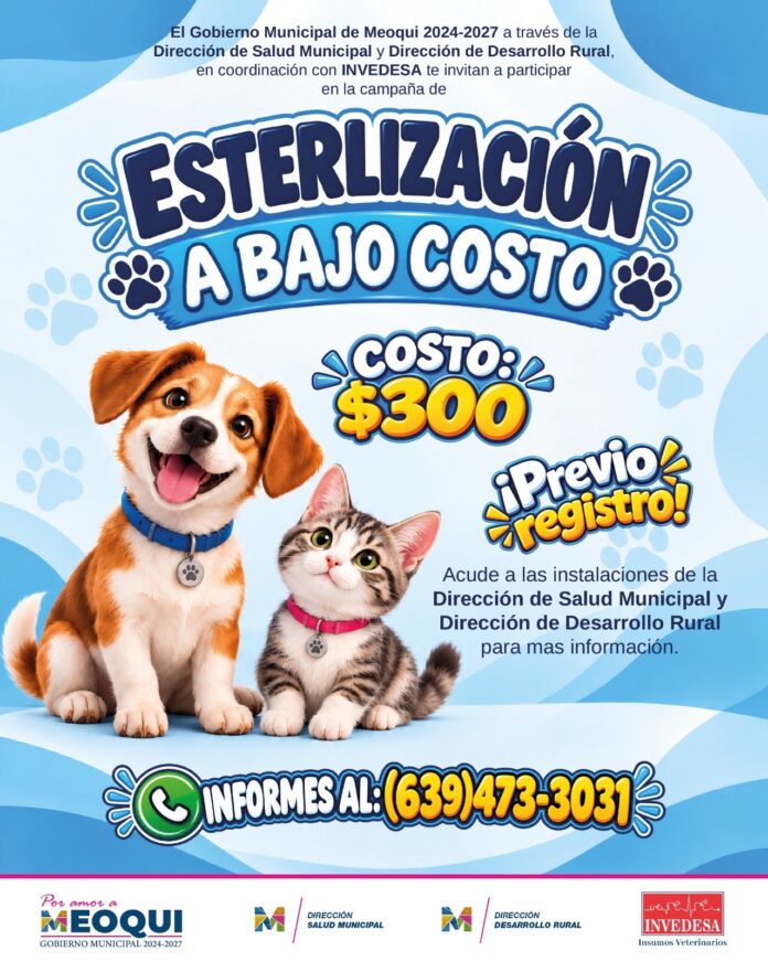 acce3290-00b9-45ed-9a59-c1c5524a2ee4