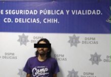 Detiene Policía Municipal a presunto responsable de sustraer nuez en colonia Terrazas