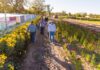 Invitan en Meoqui a disfrutar de “Entre tumbas y flores”, un recorrido lleno de historia y color