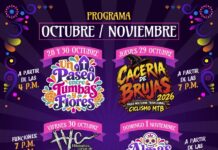 Invitan a disfrutar “Almas de Fiesta en Meoqui” con Festival, Cine entre tumbas y Paseo entre tumbas y Flores