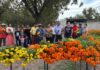 Revela Meoqui su riqueza histórica en el recorrido “Entre Tumbas y Flores”