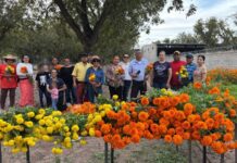 Revela Meoqui su riqueza histórica en el recorrido “Entre Tumbas y Flores”