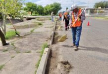 Refuerzan limpieza de calles y avenidas del centro de Delicias con programa de Empleo Temporal