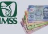 Aclara IMSS cambios en la Modalidad 40