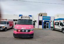 Ataque de abejas deja dos adultos mayores heridos en panteón de Saucillo