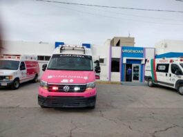 Ataque de abejas deja dos adultos mayores heridos en panteón de Saucillo