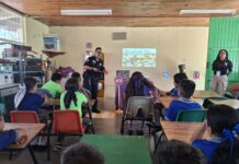 Lleva a cabo Fito Gardea simulacro de atropello para fortalecer la prevención y respuesta ante emergencias en Saucillo.