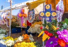 Invita Meoqui a honrar la memoria de sus seres queridos en la tradicional Feria del Hueso