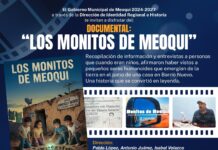 ¡Mañana hay misterio! Cineclub Histórico proyectará la leyenda de los Monitos de Meoqui