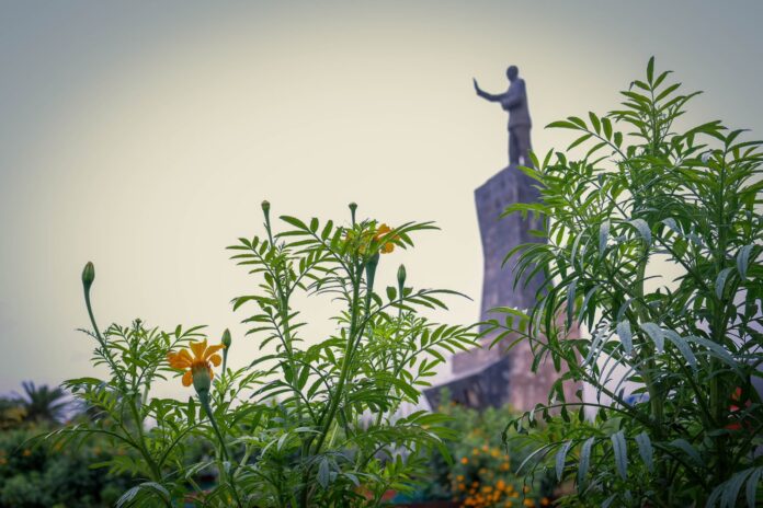 ¡Parral florece! 10 mil cempasúchiles llenarán de color nuestro Pueblo Mágico